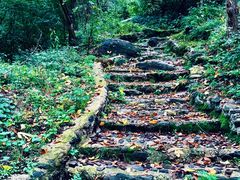 -云岫谷自然风景区