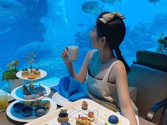 -涛·海底餐厅·美人鱼·自助餐·海底隧道(三亚海棠湾洲际度假酒店)