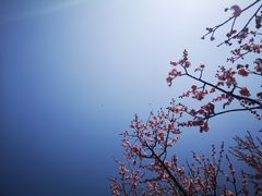 -蜀冈西峰生态公园