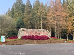 -东平国家森林公园