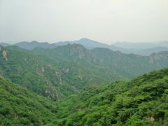 -大岭沟猕猴桃谷风景区