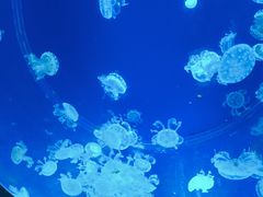 -沈阳海洋探索中心