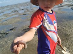 -北海金海湾红树林生态旅游区