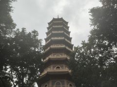 -灵谷景区