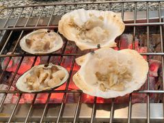 -震海贝烤贝·民俗特色店(延吉总店)