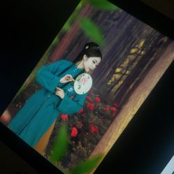 -红颜印画古风汉服艺术摄影