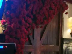 -碧特博格啤酒花园餐厅(芜湖路店)