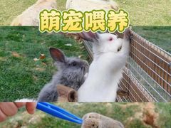 -栖露营camping·天幕烧烤·团建拓展·采摘营地