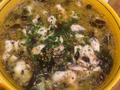 -功夫兔