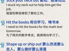 -JT PREP国际学科课程·IB·AP·Alevel(陆家嘴校区)