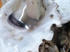 -深圳市大鹏新区华记山海农庄餐厅