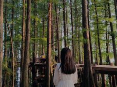 -东湖落雁景区
