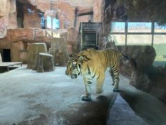 -鄂尔多斯野生动物园