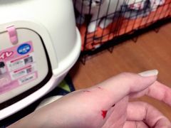 -上海市长宁区天山中医医院