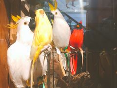 -RGF(巨鹿路店)