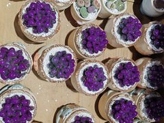 -循礼门鲜花花市(武汉循礼门店)