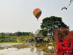 -中国科学院西双版纳热带植物园