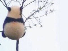 -广东财经大学(广州校区)