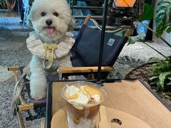 -J Create城市露营咖啡·简餐·宠物(上海动物园店)