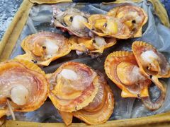 -霞涌市场海鲜摆卖区