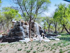 -北京野生动物园