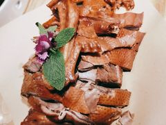 -鸽子窝(青塔店)