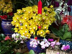 -Olé精品超市(上海虹桥南丰城店)
