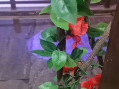 -淀里船宴(裕华东路店)