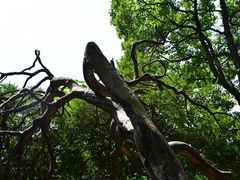 -青岛崂山太清宫