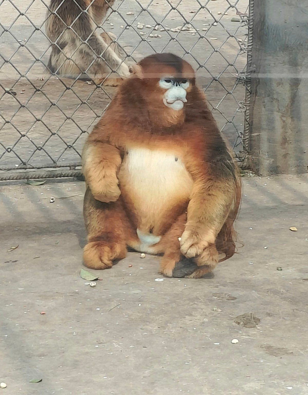 商丘人民公园动物园