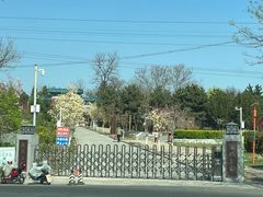 -云岗森林公园