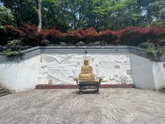 -大金鹰园