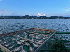 -东钱湖旅游度假区