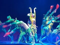 -珠海横琴长隆《卡卡虎奇遇记》