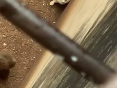 -昆明动物园