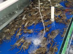 -阳澄湖大闸蟹·琼灵阁牌品牌连锁(吴中总店)