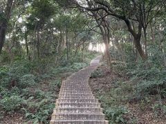 -天鹿湖森林公园