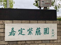 -嘉定紫藤园