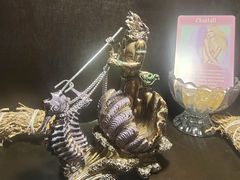 -雪灵魔法世界SHELLY’S TAROT(大良桂畔里店)