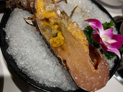 -海月轩海鲜豆捞(紫金塔店)