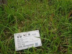 -广州神农草堂中医药博物馆