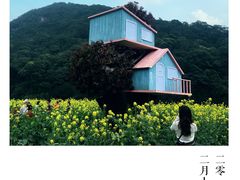 -广州市石门国家森林公园