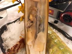 -鲜入围煮花胶鸡海鲜火锅