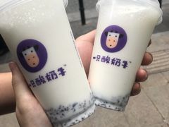-一只酸奶牛(八一路店)