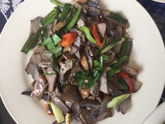 -翕庐小苑