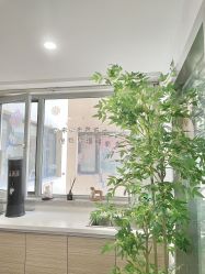 -星玥国际月子中心(天通苑店)