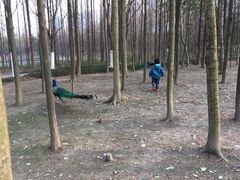 -昆山城市生态森林公园