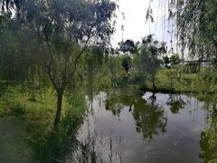 -鹅湖玫瑰文化园