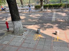 -印象老灶台三下锅·湘西本土原味菜(天门山索道店)