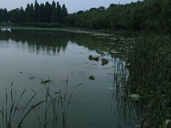 -艾溪湖湿地公园